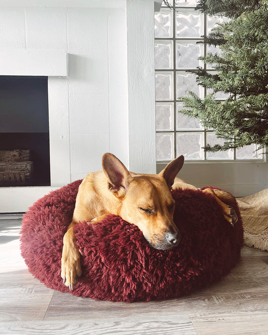 POD DOG BED by MODERNBEAST