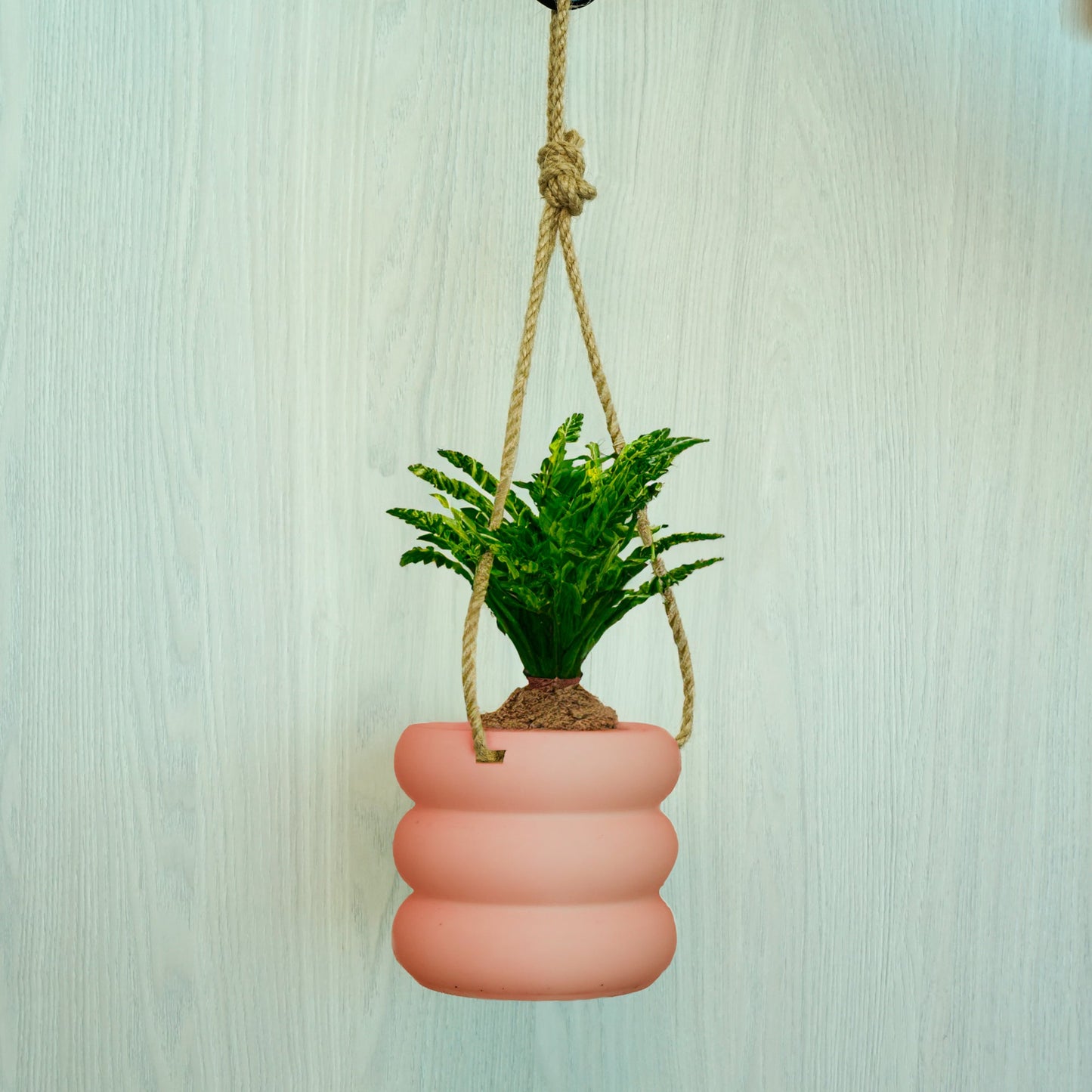 Hanging Bubble Pot, 3D Printed Planter, Hanging Wall Planter with Drainage, Minimal Decor, 4 5 6 7 8 Inch Plant Pots in Matte Terracotta by Rosebud HomeGoods