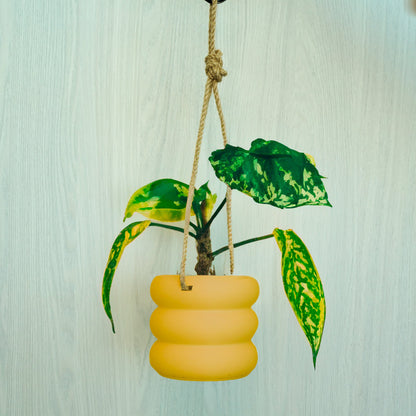 Hanging Bubble Pot, 3D Printed Planter, Hanging Wall Planter with Drainage, Minimal Decor, 4 5 6 7 8 Inch Plant Pots in Matte Terracotta by Rosebud HomeGoods
