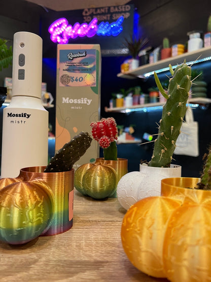 Sir Richard Plant Pot With Drainage, Funny Gag Gifts for Cactus Lovers by Rosebud HomeGoods