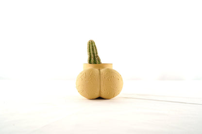 Sir Richard Plant Pot With Drainage, Funny Gag Gifts for Cactus Lovers by Rosebud HomeGoods