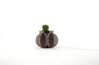 Sir Richard Plant Pot With Drainage, Funny Gag Gifts for Cactus Lovers by Rosebud HomeGoods