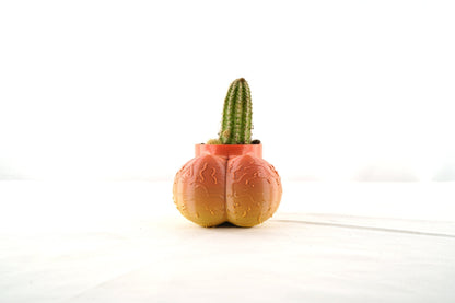 Sir Richard Plant Pot With Drainage, Funny Gag Gifts for Cactus Lovers by Rosebud HomeGoods