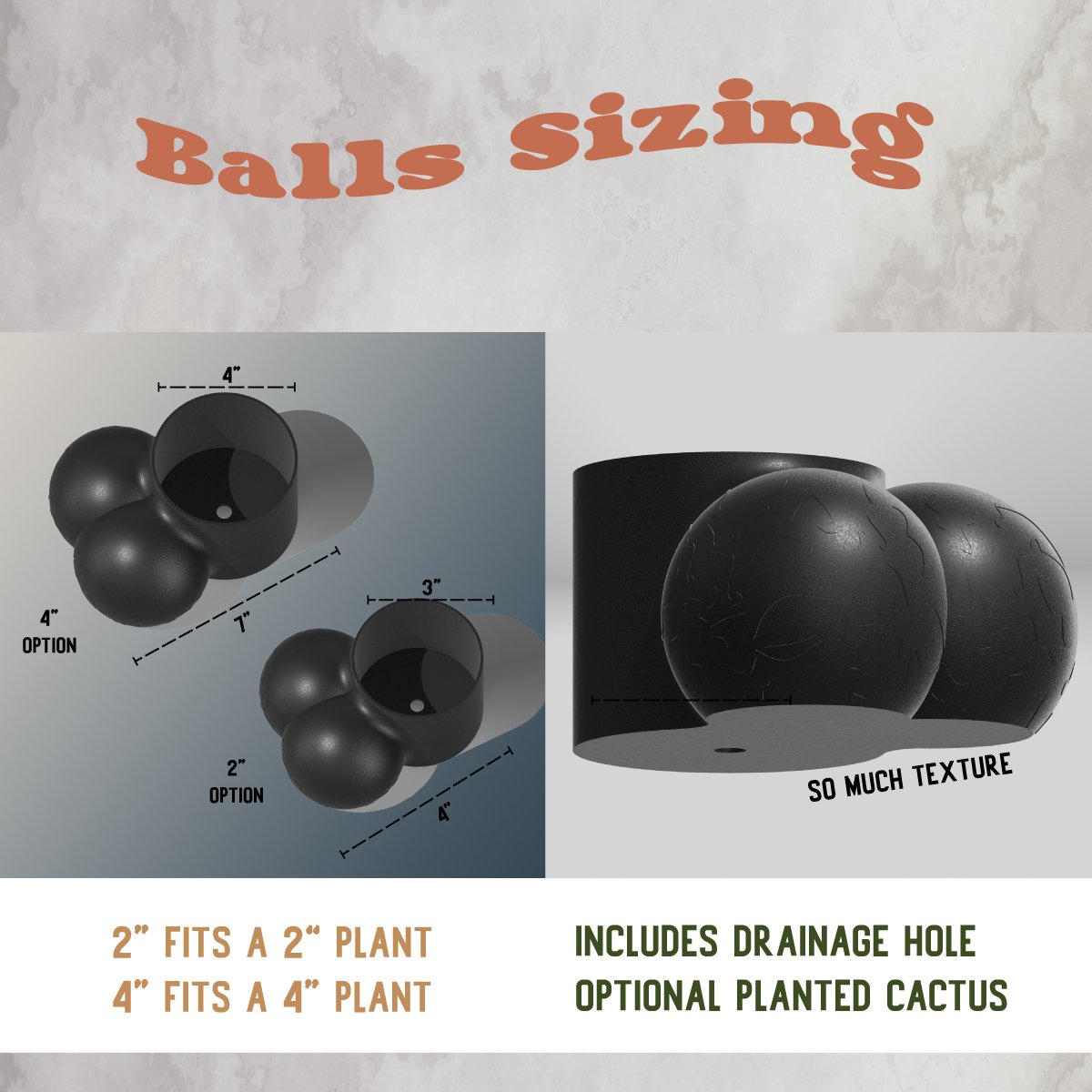 Sir Richard Plant Pot With Drainage, Funny Gag Gifts for Cactus Lovers by Rosebud HomeGoods