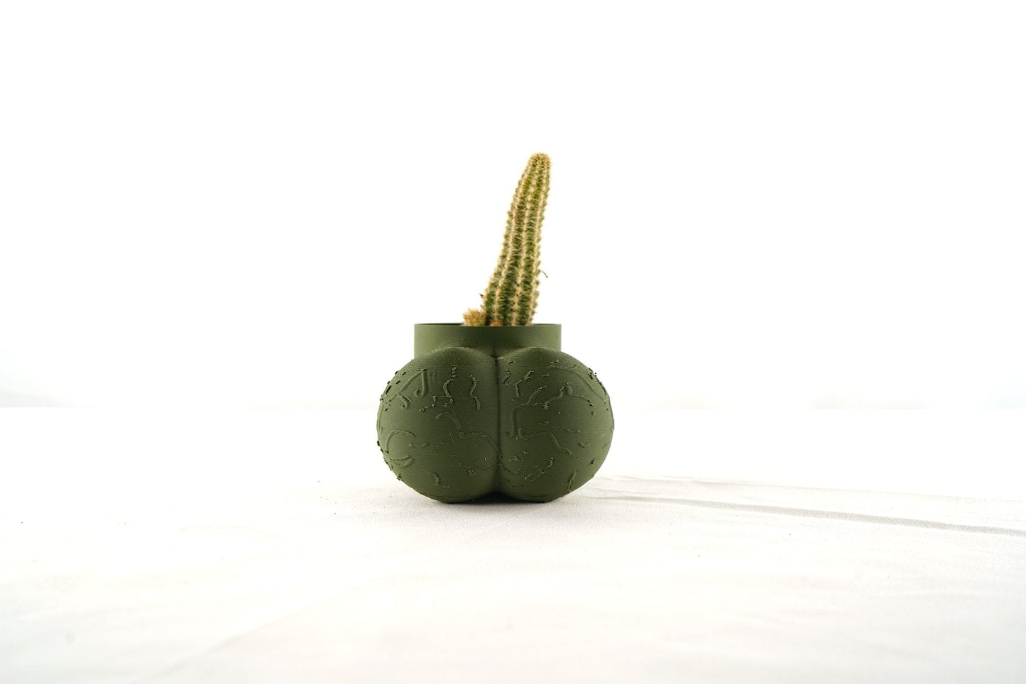 Sir Richard Plant Pot With Drainage, Funny Gag Gifts for Cactus Lovers by Rosebud HomeGoods