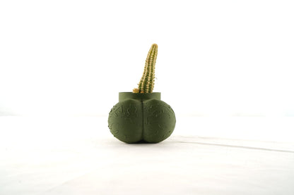 Sir Richard Plant Pot With Drainage, Funny Gag Gifts for Cactus Lovers by Rosebud HomeGoods