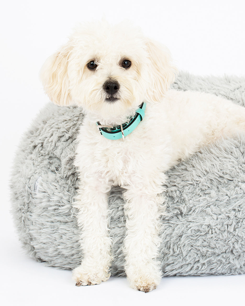 POD DOG BED by MODERNBEAST