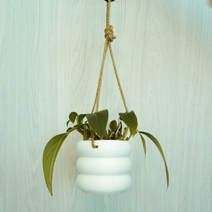 Hanging Bubble Pot, 3D Printed Planter, Hanging Wall Planter with Drainage, Minimal Decor, 4 5 6 7 8 Inch Plant Pots in Matte Terracotta by Rosebud HomeGoods