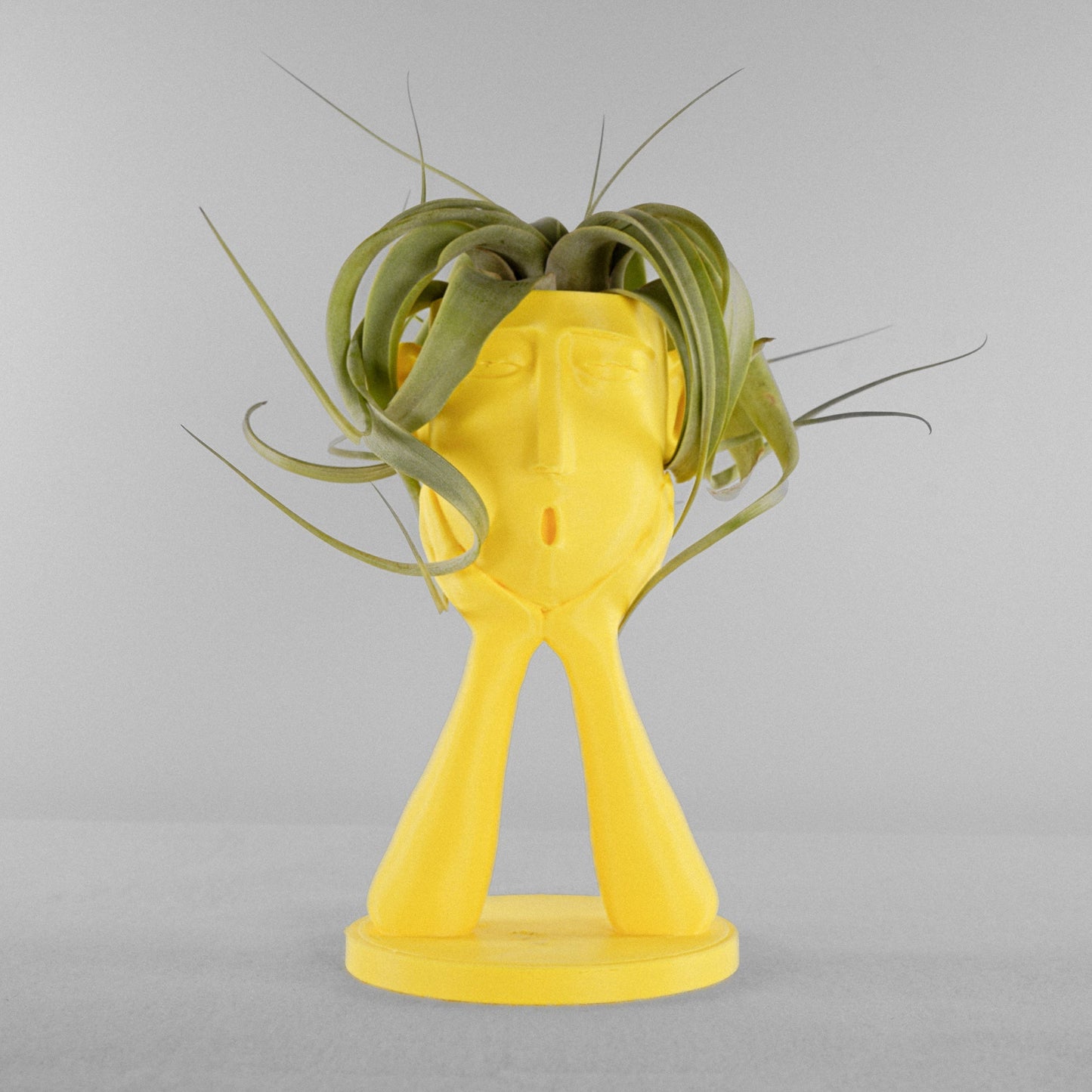 Stonehenge “Oops” Air Head Planter by Rosebud HomeGoods