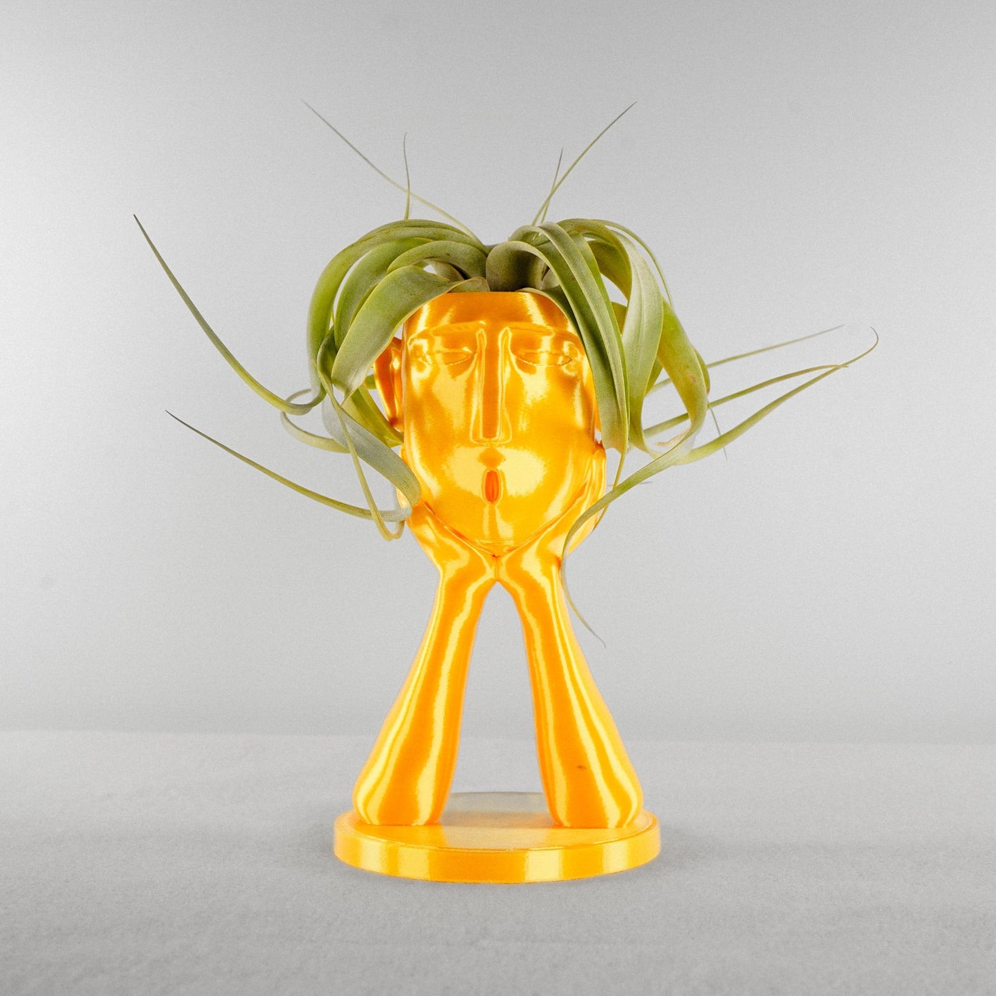 Stonehenge “Oops” Air Head Planter by Rosebud HomeGoods