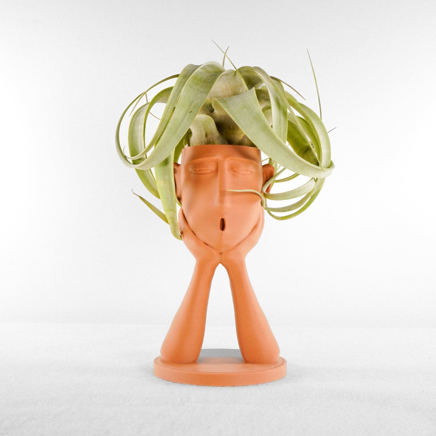 Stonehenge “Oops” Air Head Planter by Rosebud HomeGoods