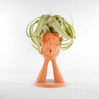 Stonehenge “Oops” Air Head Planter by Rosebud HomeGoods