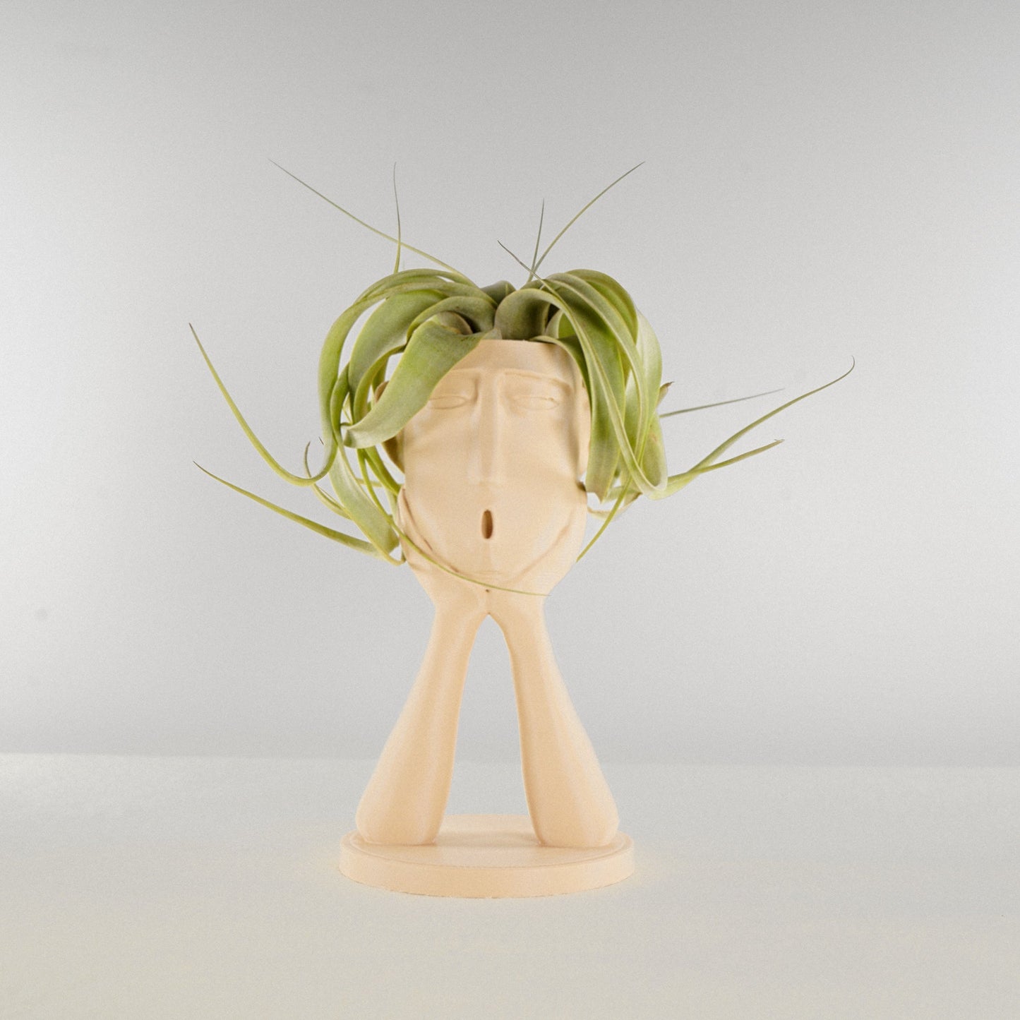 Stonehenge “Oops” Air Head Planter by Rosebud HomeGoods