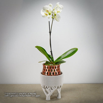 Verdant Canopy Footed Pedestal Bowl, NOBLE by Rosebud HomeGoods