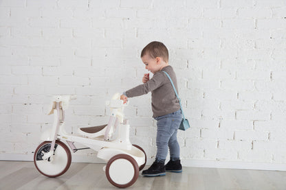 iimo 3-in-1 Foldable Tricycle with Canopy by iimo USA store