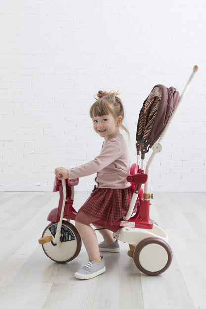 iimo 3-in-1 Foldable Tricycle with Canopy by iimo USA store