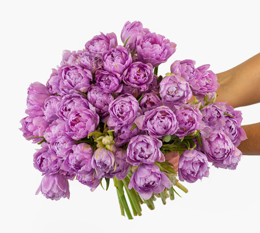 50 Lavender Peony Tulips by BloomsyBox
