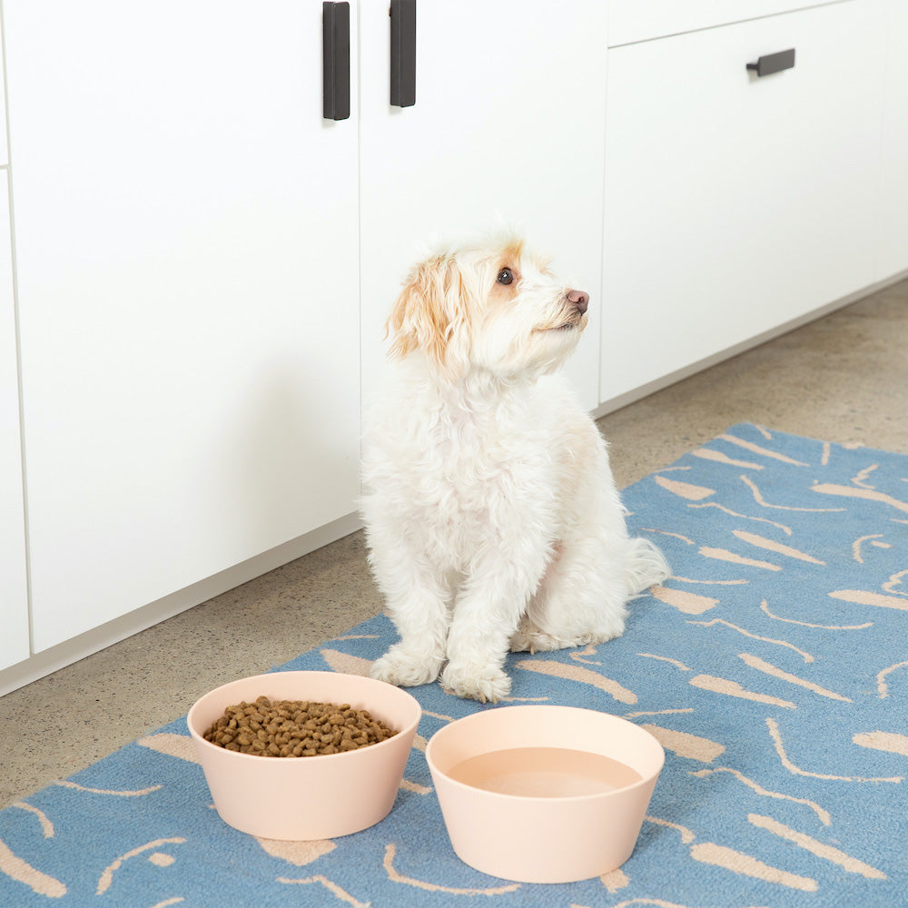 Habit Silicone Dog Bowl by Waggo