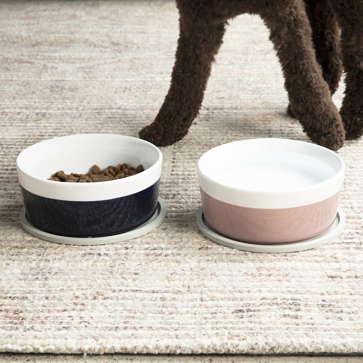Habit Circle Dog Placemat - Set of 2 by Waggo