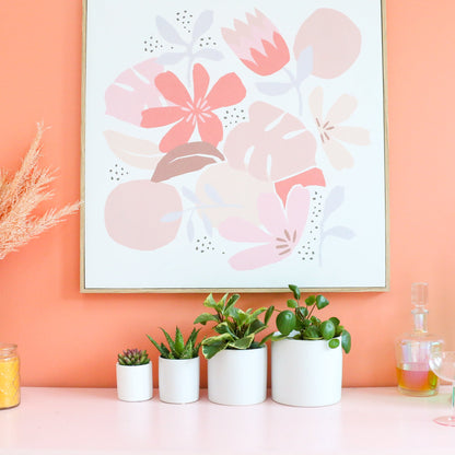 Ombre Cement Planter by Kailo Chic